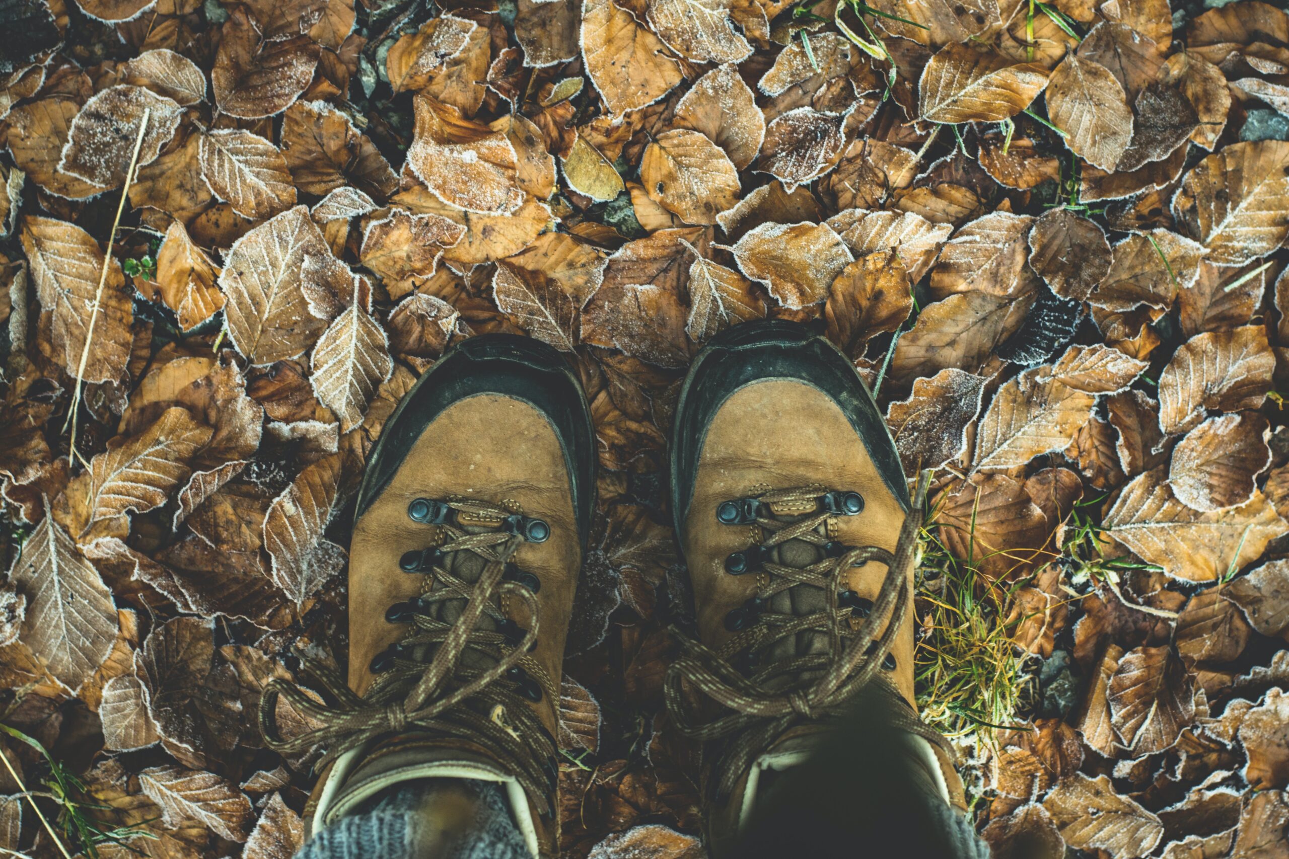 Hiking Boots on Autumn Leaves