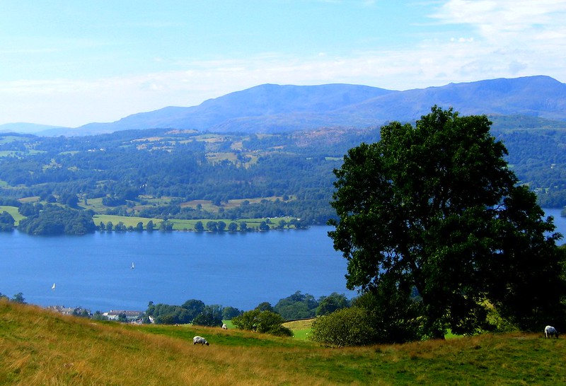 Windermere lake with green tree and blue sky
