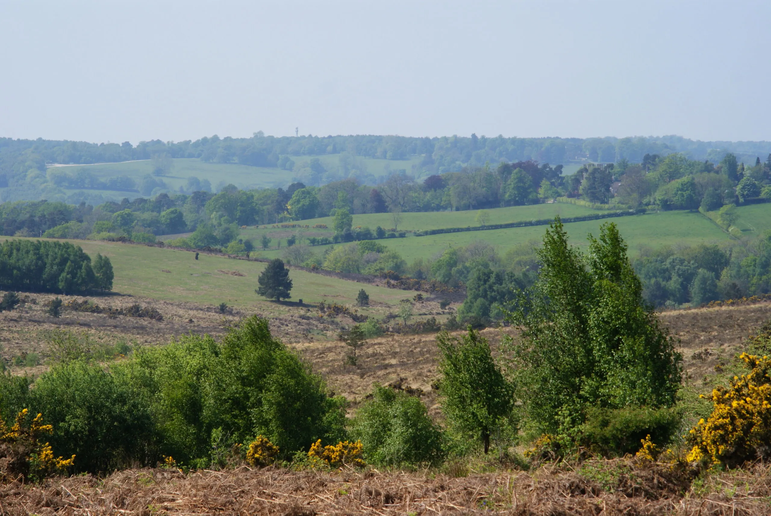 Ashdown Forest with green fields and blue sky