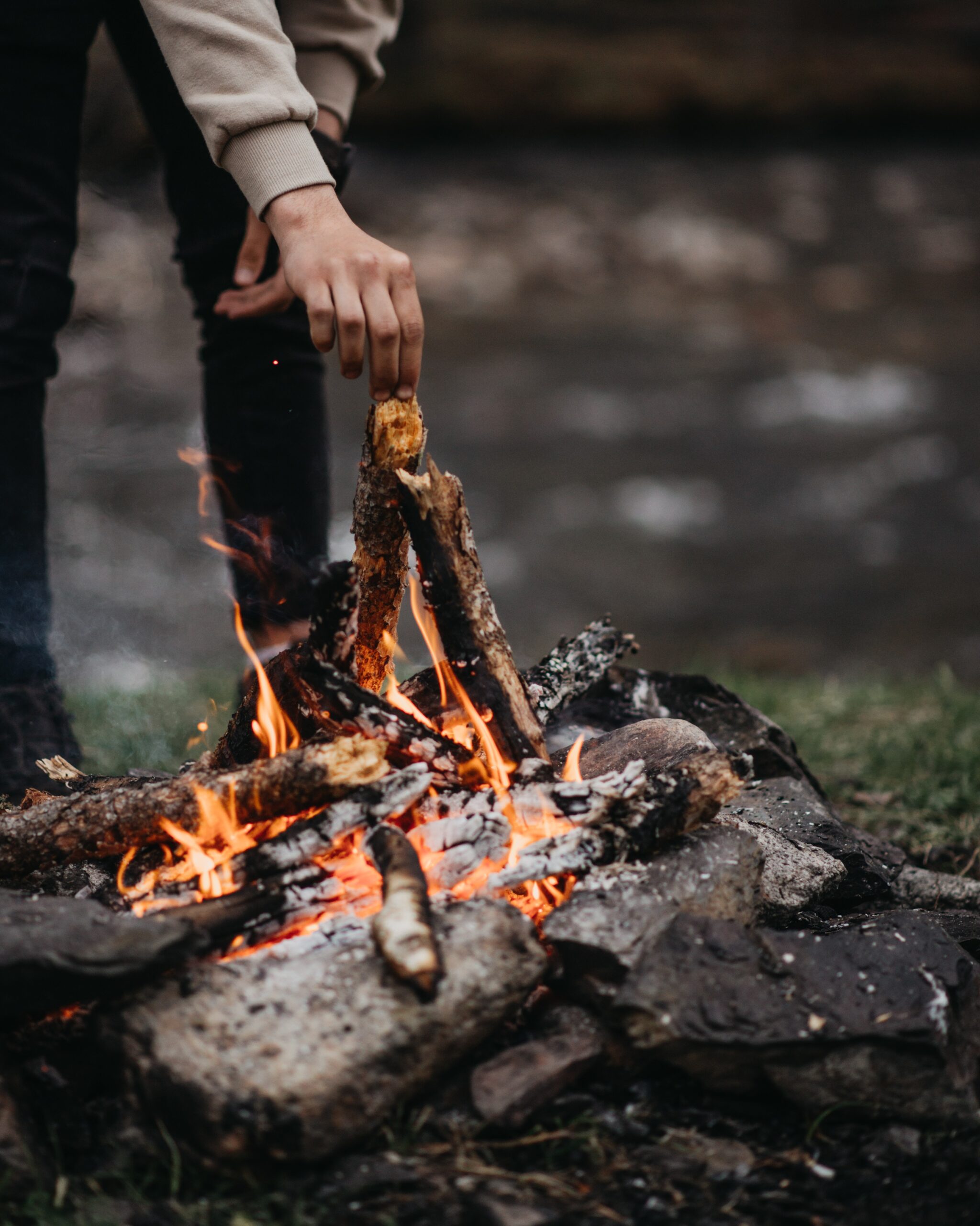 What Is The Best Wood To Burn In A Campfire?
