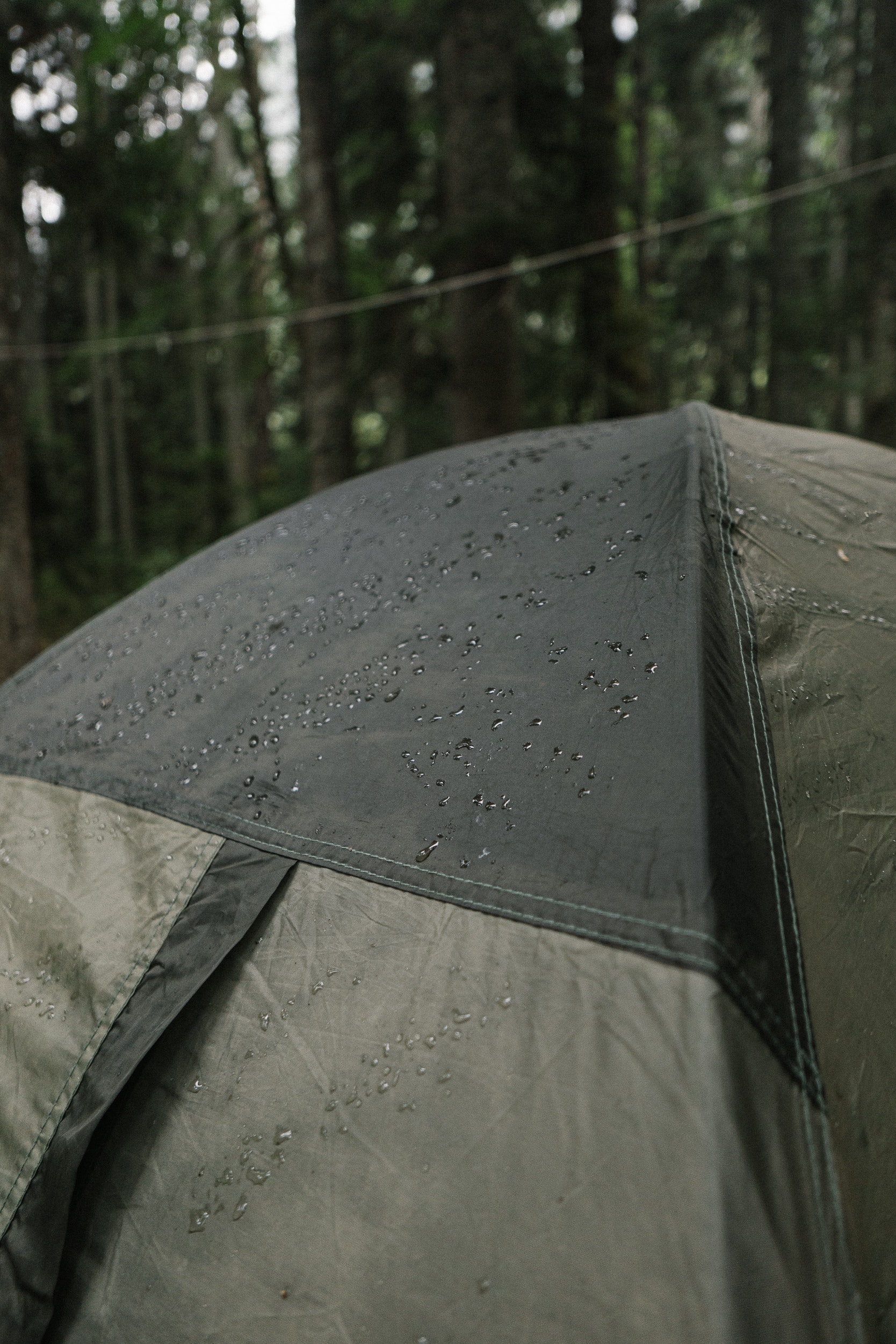 Grey Tent in Forest with rain on it