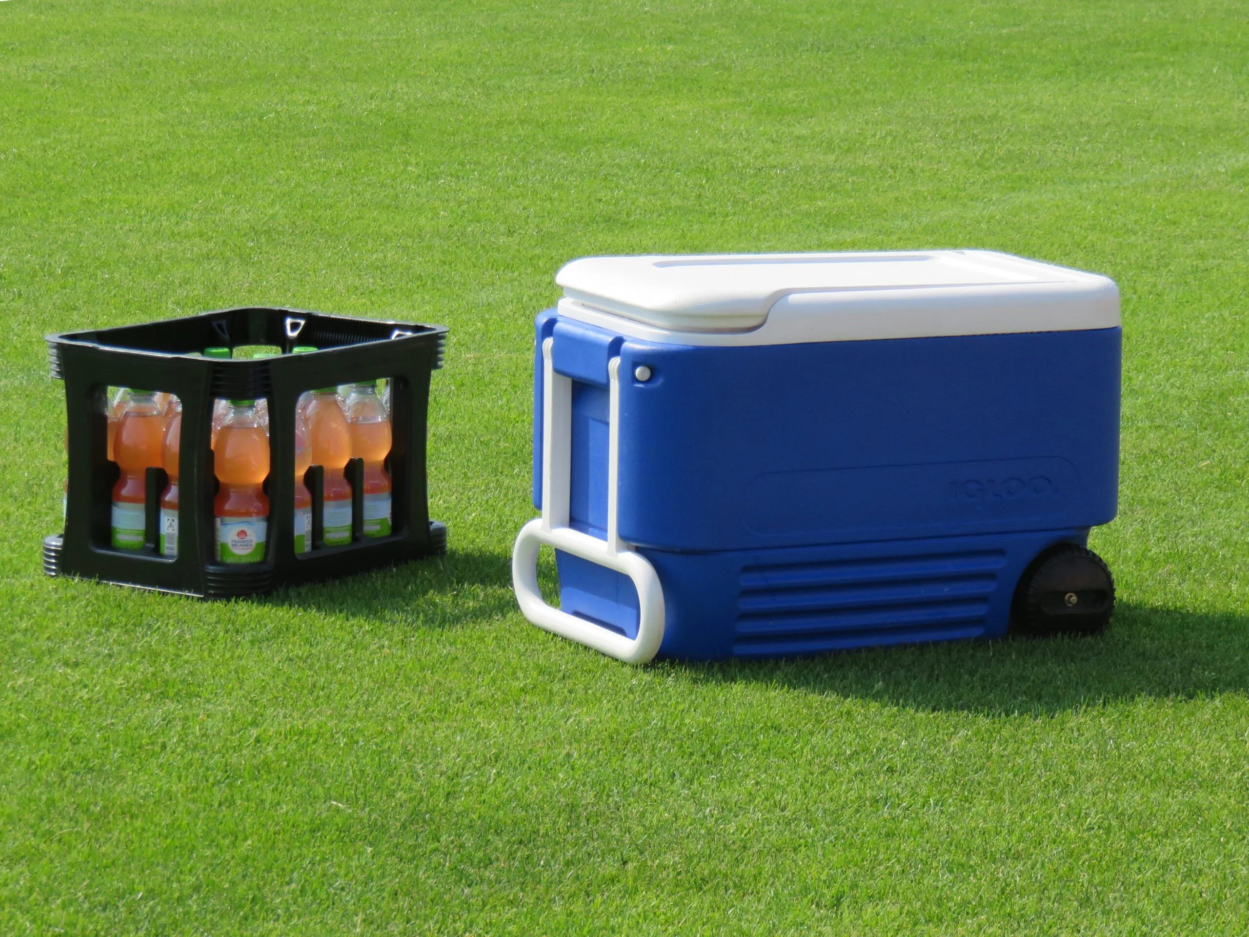 blue cooler box and drinks on grass