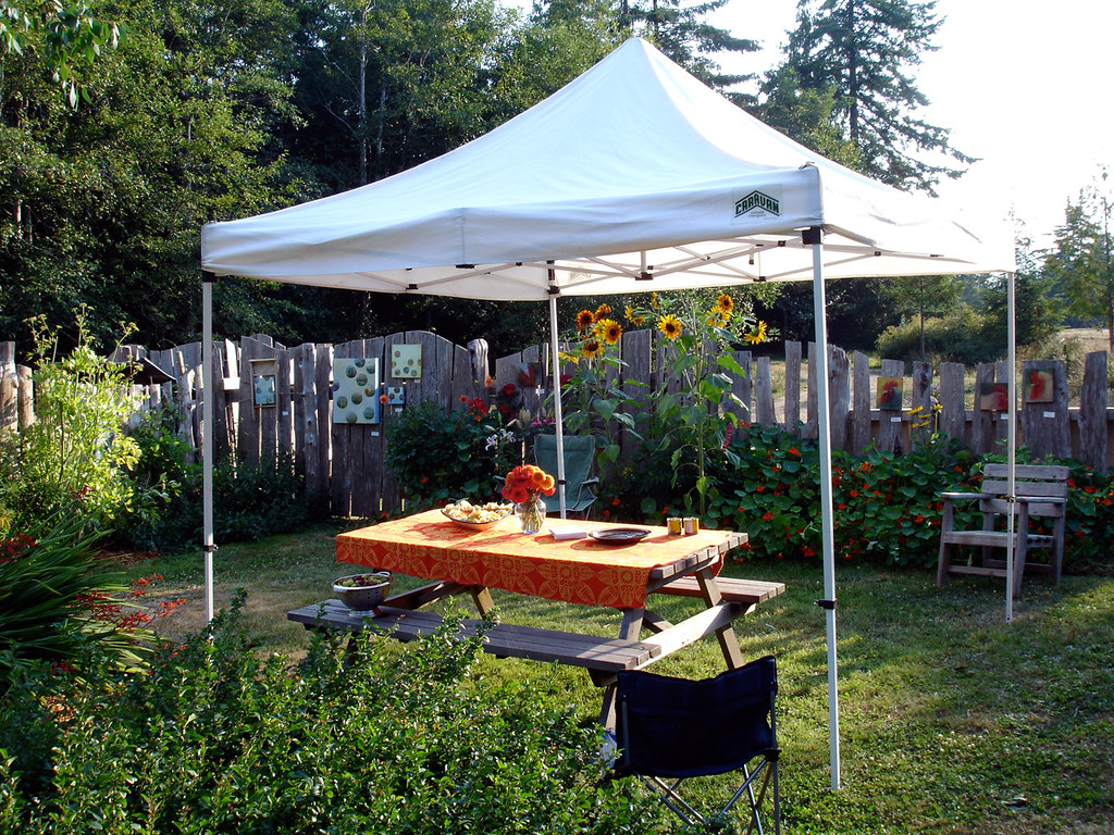 10 Ways To Prevent A Canopy From Blowing Away