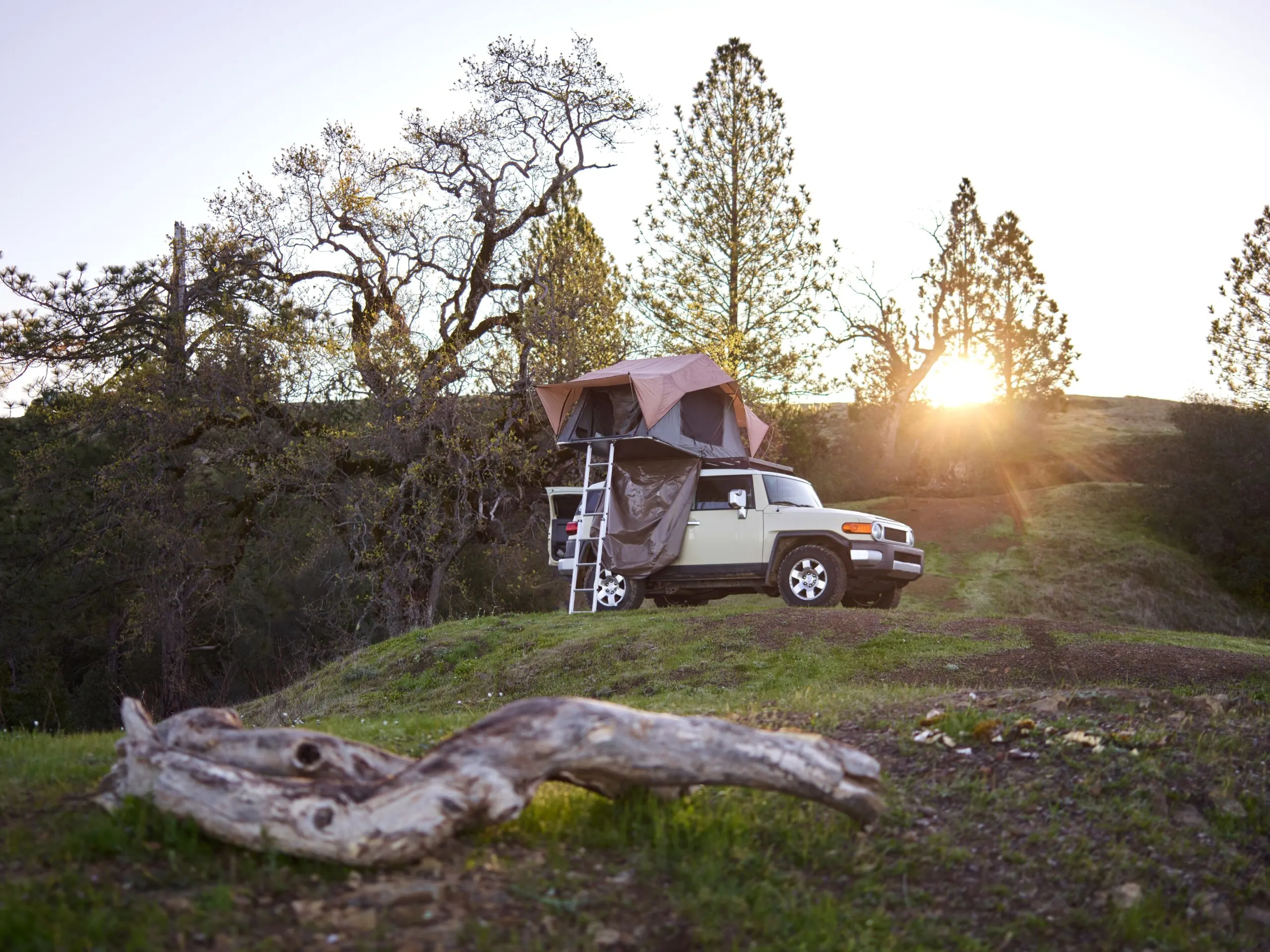 Rooftop tent on jeep in wooded area